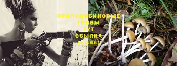a pvp Арсеньев