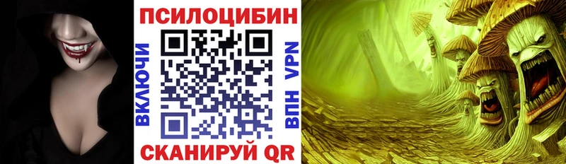 Псилоцибиновые грибы Psilocybe  Ижевск 